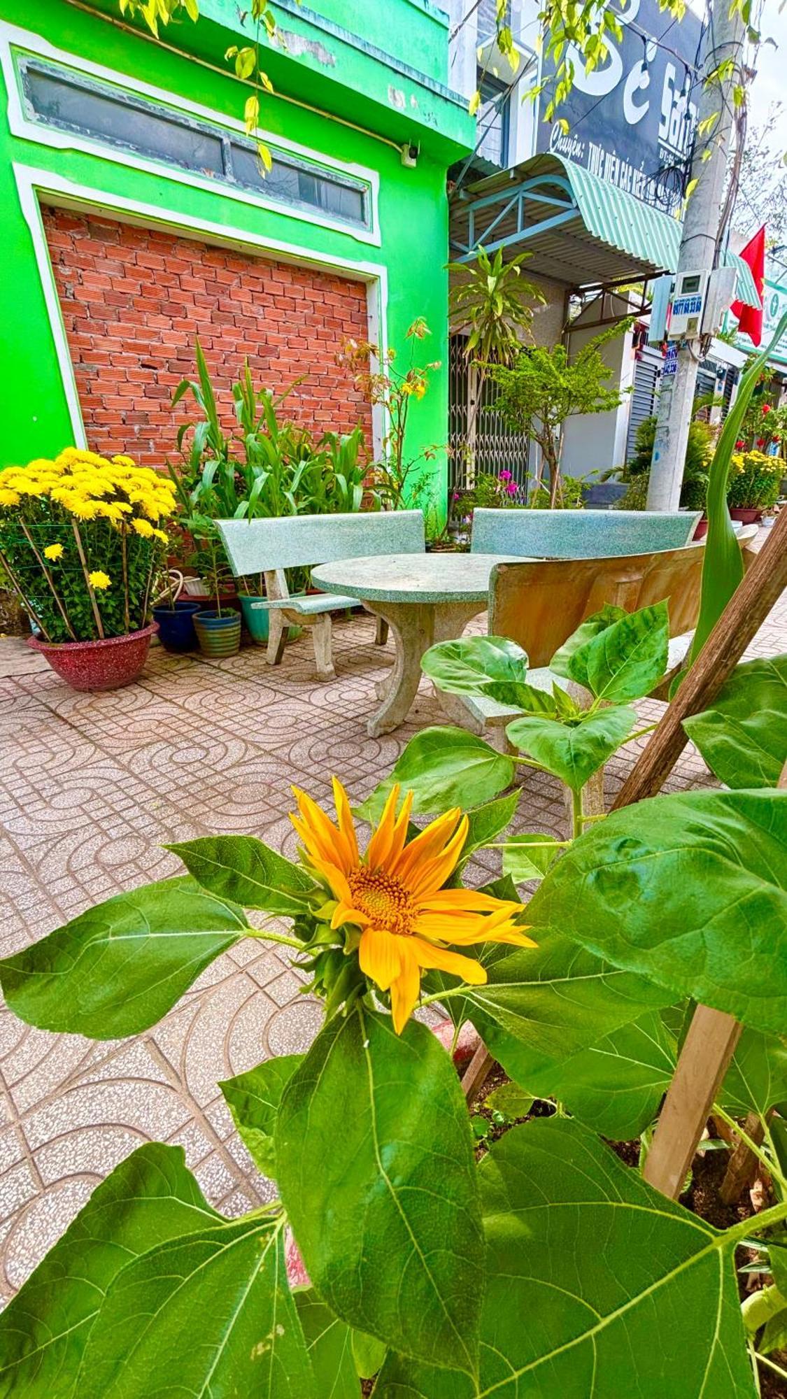 Thuy Hang Motel Long Hai Luaran gambar